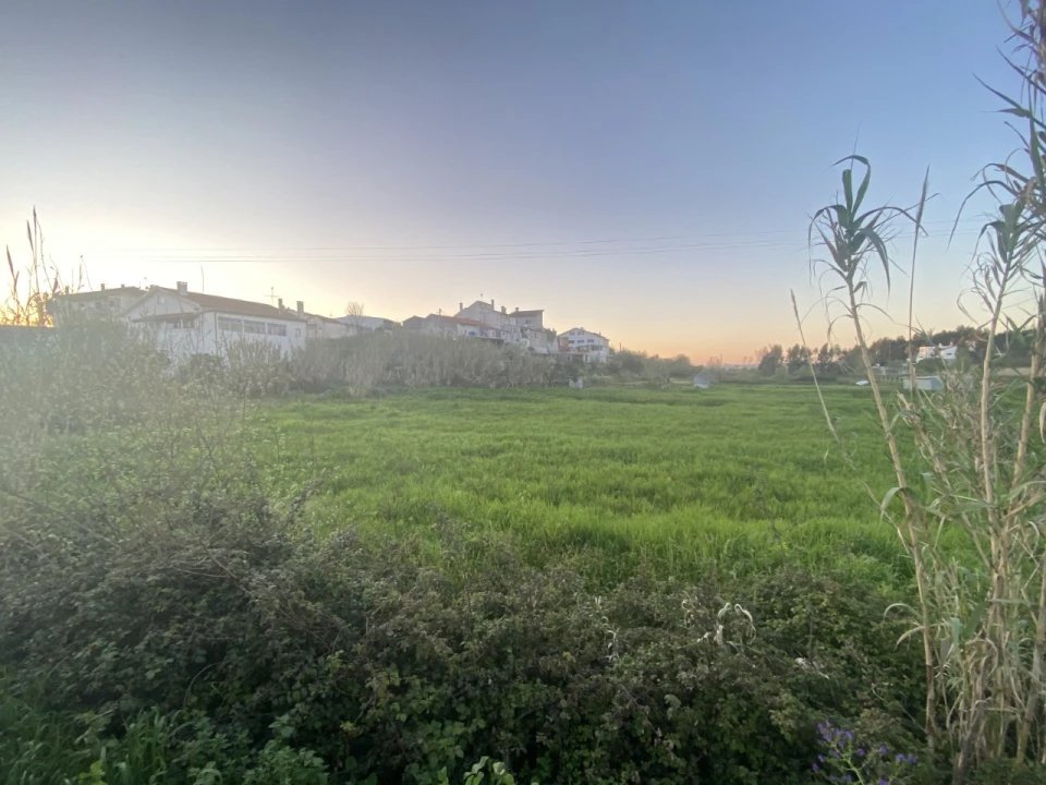 Terreno para Venda em Granja do Ulmeiro Foto 3