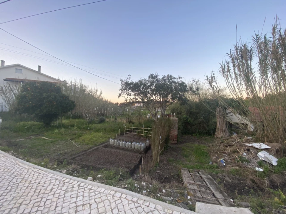 Terreno para Venda em Granja do Ulmeiro Foto 5