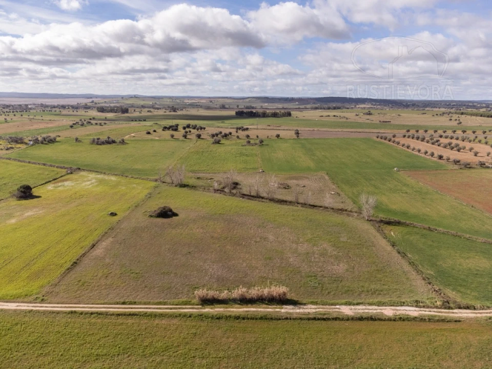 Terreno para Venda em São Manços e São Vicente do Pigeiro Foto 1