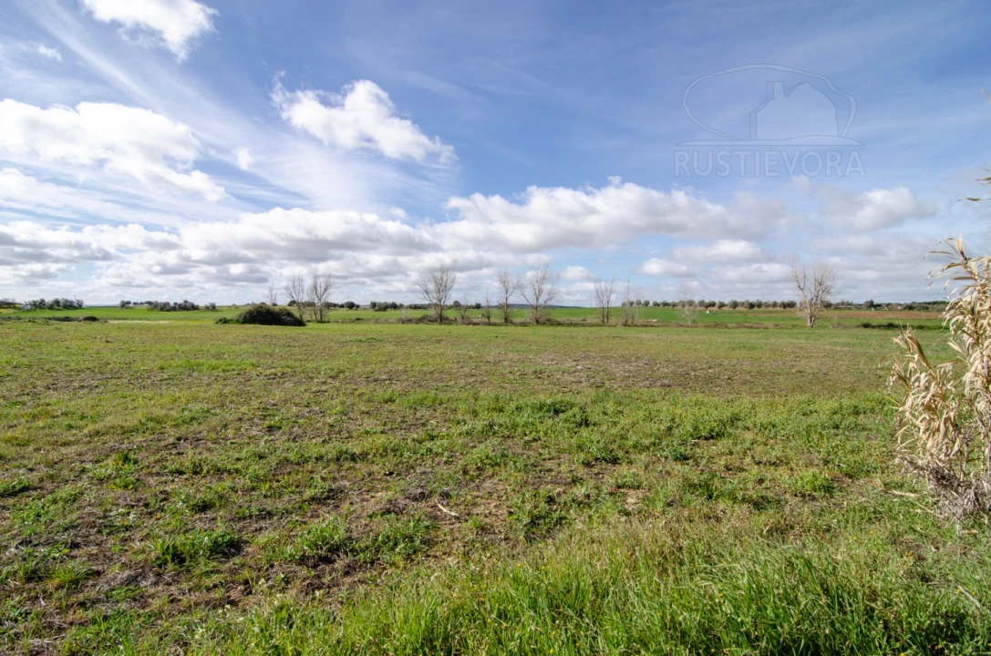 Terreno para Venda em São Manços e São Vicente do Pigeiro Foto 2