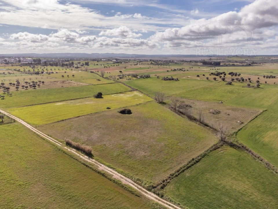 Terreno para Venda em São Manços e São Vicente do Pigeiro Foto 5