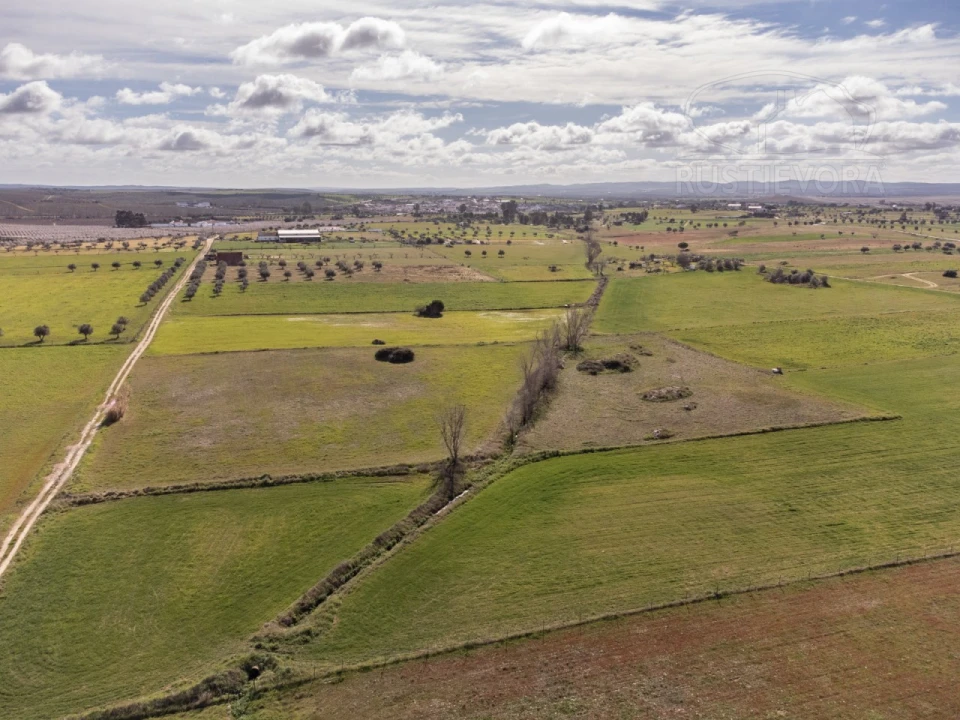 Terreno para Venda em São Manços e São Vicente do Pigeiro Foto 6