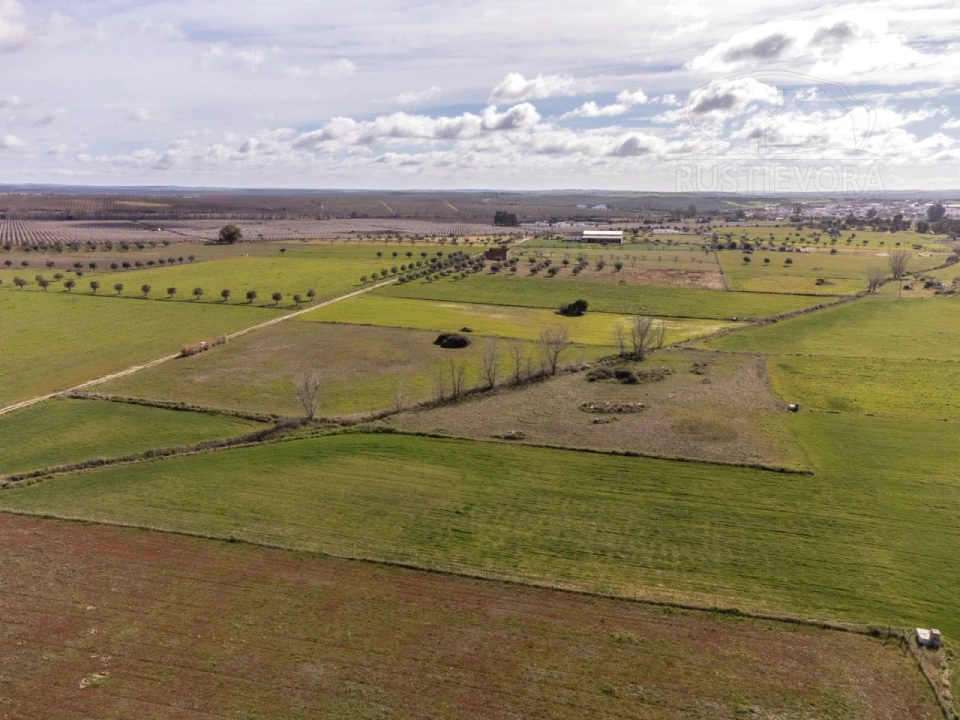 Terreno para Venda em São Manços e São Vicente do Pigeiro Foto 7