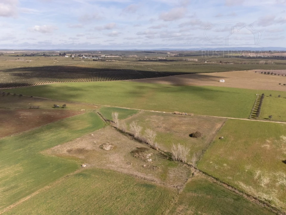 Terreno para Venda em São Manços e São Vicente do Pigeiro Foto 9