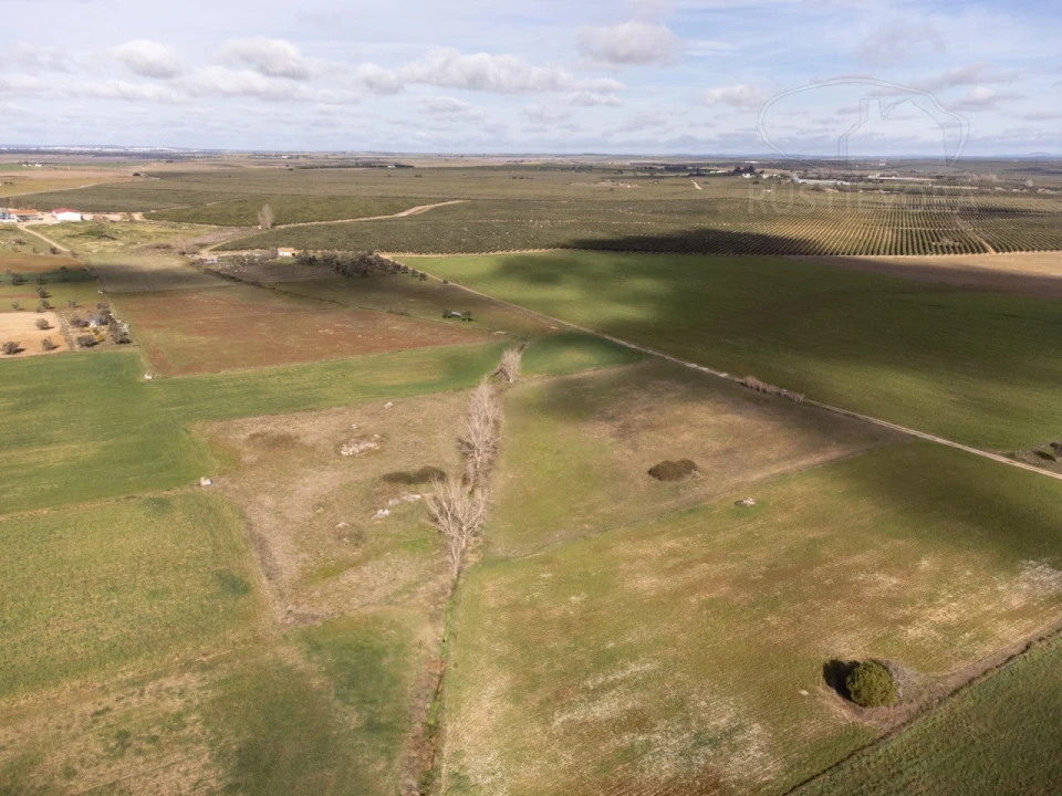 Terreno para Venda em São Manços e São Vicente do Pigeiro Foto 11