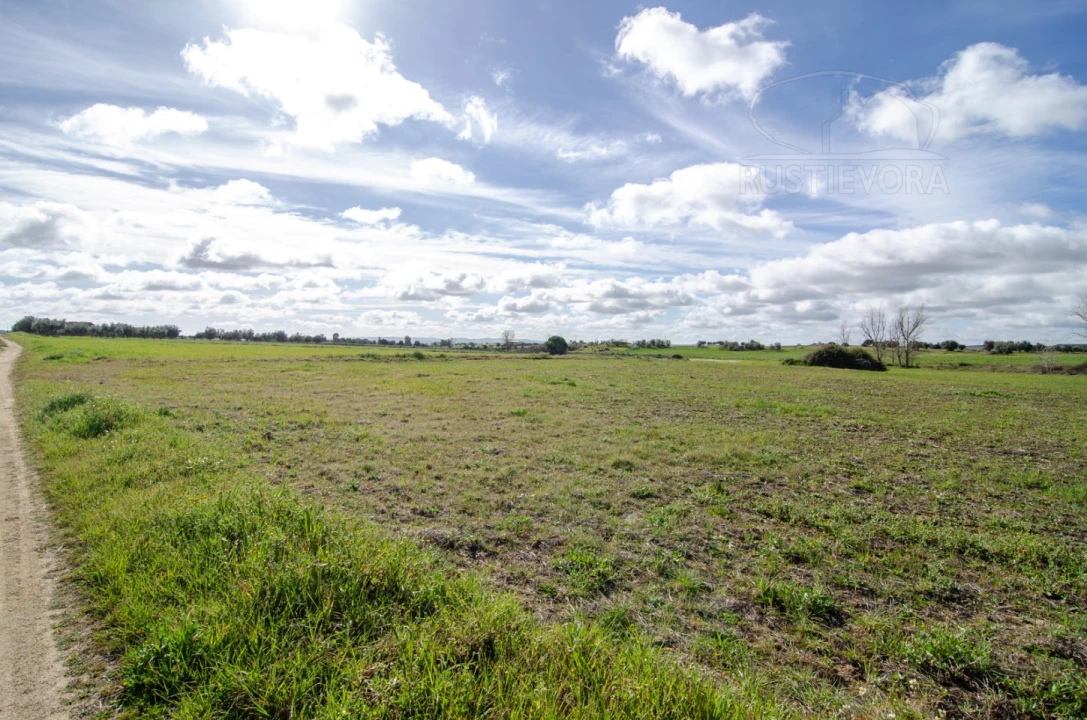 Terreno para Venda em São Manços e São Vicente do Pigeiro Foto 13