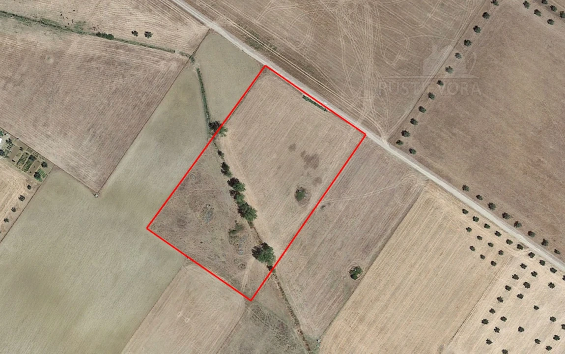 Terreno para Venda em São Manços e São Vicente do Pigeiro Foto 4