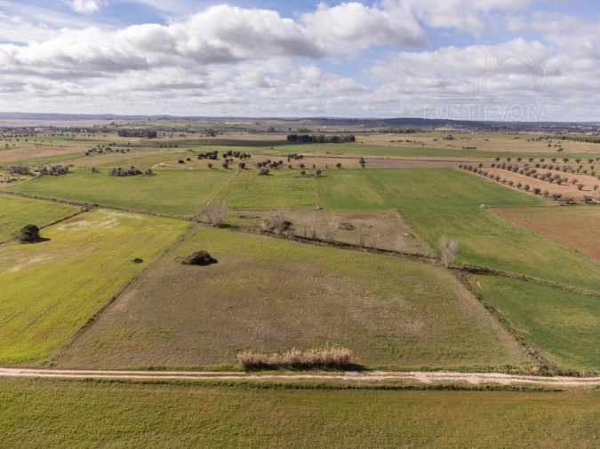 Terreno para Venda em São Manços e São Vicente do Pigeiro Foto 1