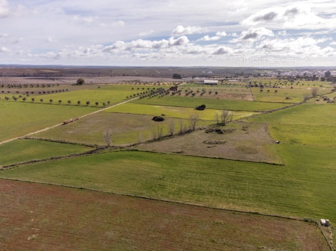 Terreno para Venda em São Manços e São Vicente do Pigeiro Foto 7