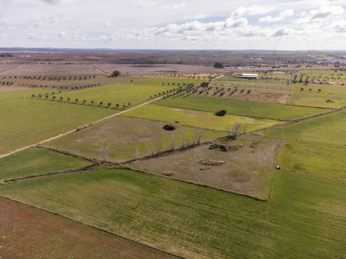 Terreno para Venda em São Manços e São Vicente do Pigeiro Foto 8