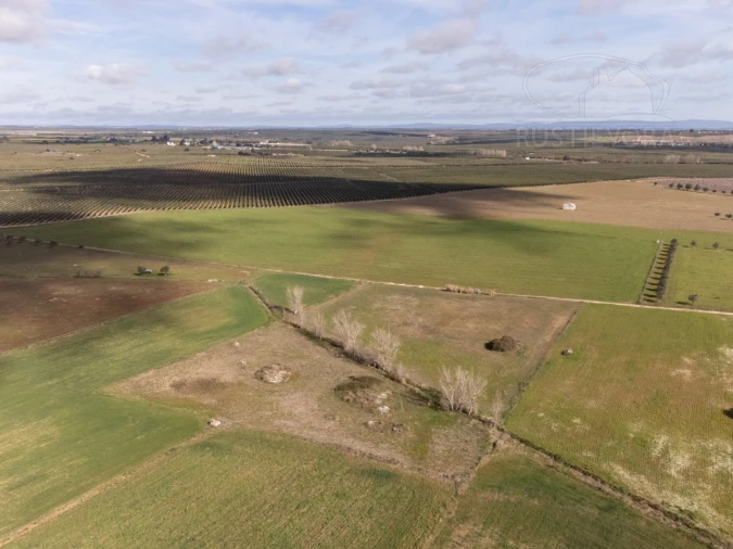Terreno para Venda em São Manços e São Vicente do Pigeiro Foto 9