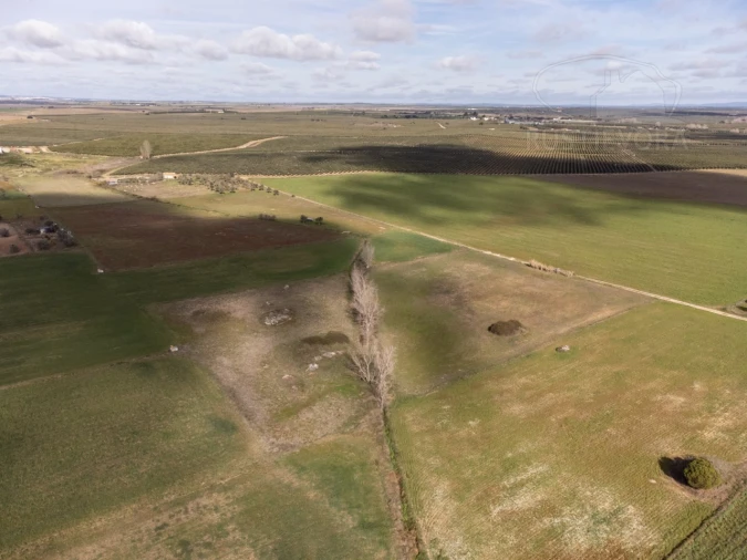 Terreno para Venda em São Manços e São Vicente do Pigeiro Foto 12