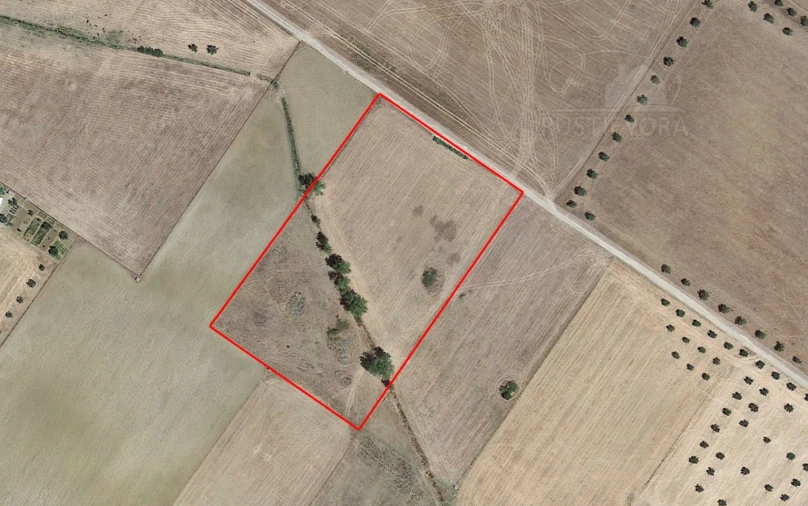 Terreno para Venda em São Manços e São Vicente do Pigeiro Foto 4