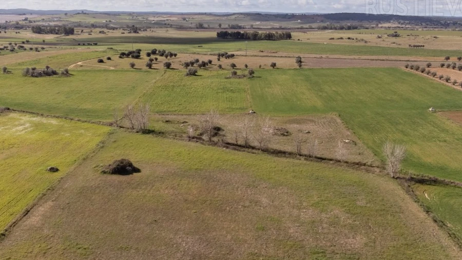 Terreno para Venda em São Manços e São Vicente do Pigeiro