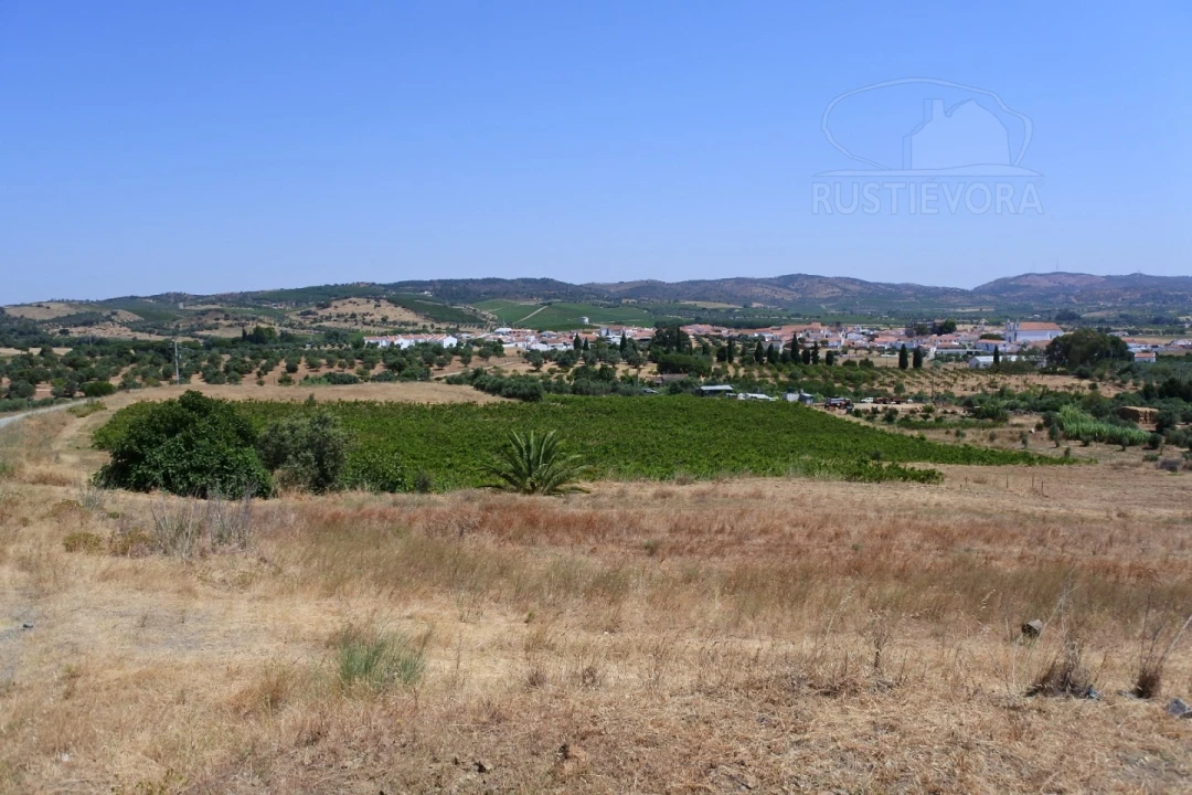 Terreno para Venda em Vila de Frades Foto 3