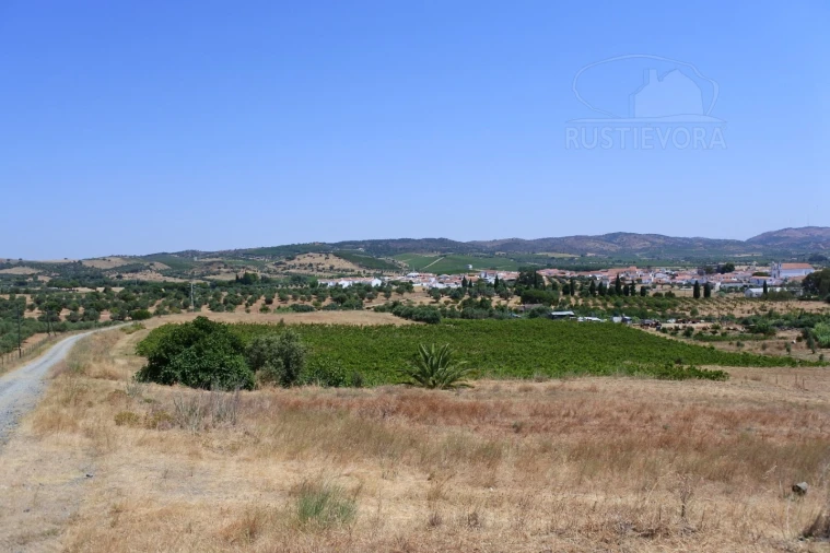 Terreno para Venda em Vila de Frades Foto 7
