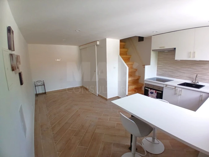 Moradia T1 para Venda em Ribafria e Pereiro de Palhacana Foto 1