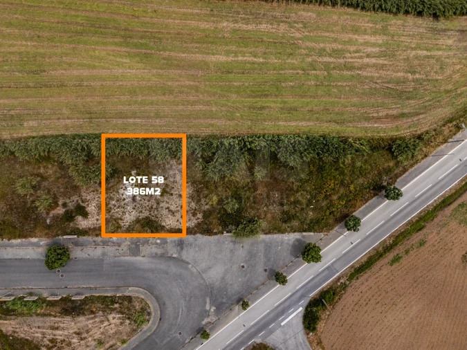 Terreno para Venda em Silveira Foto 2