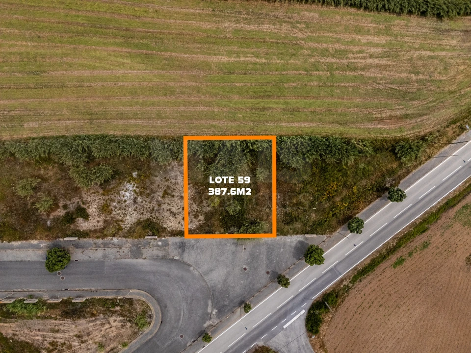 Terreno para Venda em Silveira Foto 1