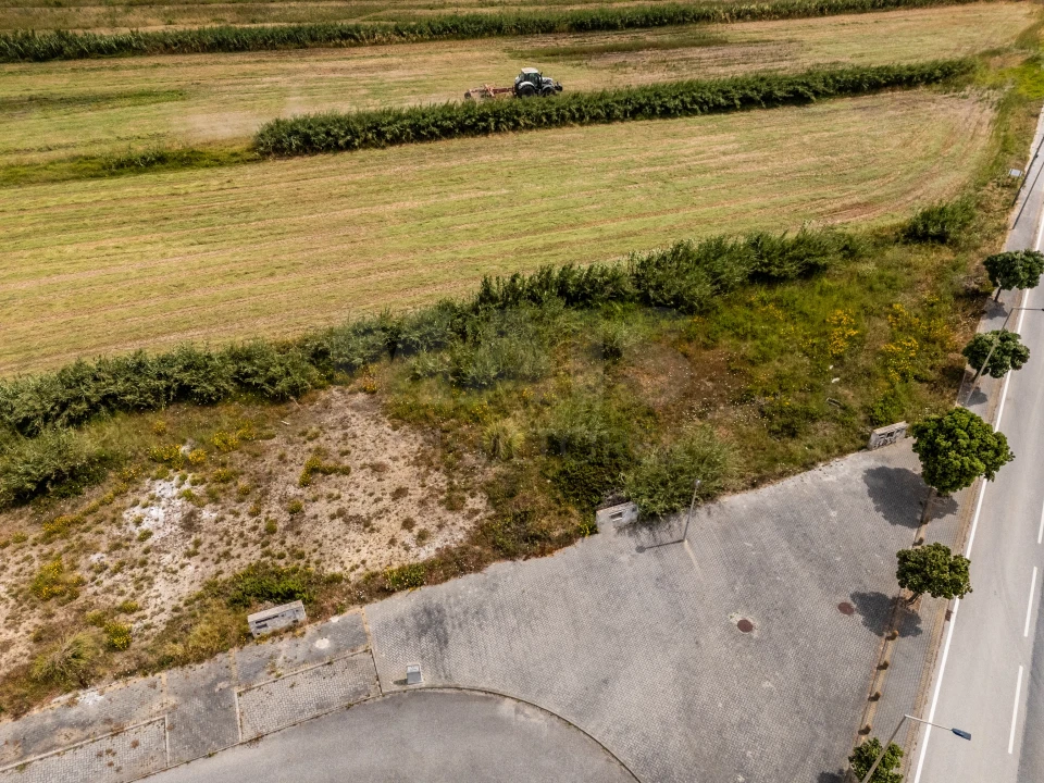 Terreno para Venda em Silveira Foto 4