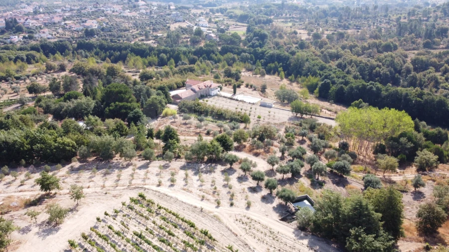 Quinta T9 para Venda em Rio Torto e Lagarinhos Foto 4