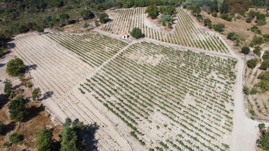 Quinta T9 para Venda em Rio Torto e Lagarinhos Foto 8