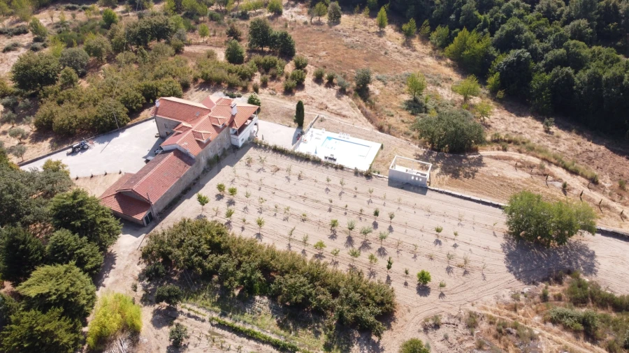 Quinta T9 para Venda em Rio Torto e Lagarinhos