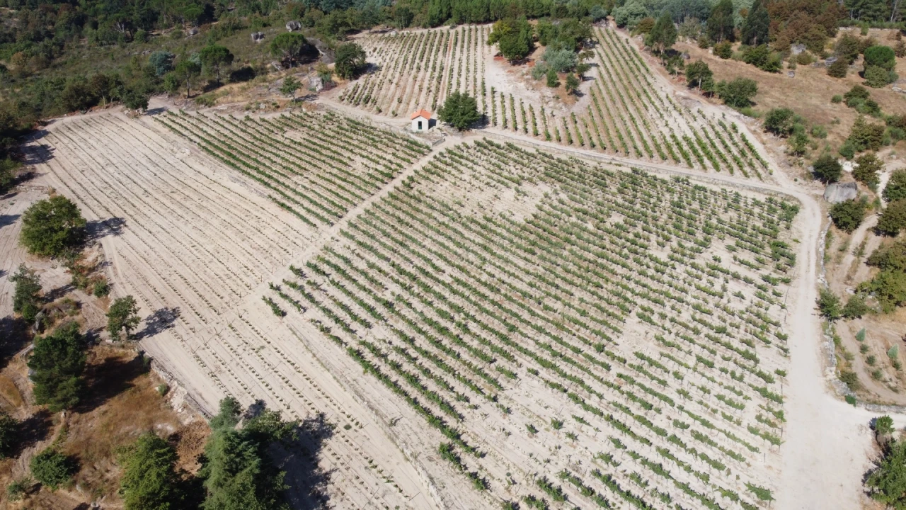 Quinta T9 para Venda em Rio Torto e Lagarinhos Foto 8