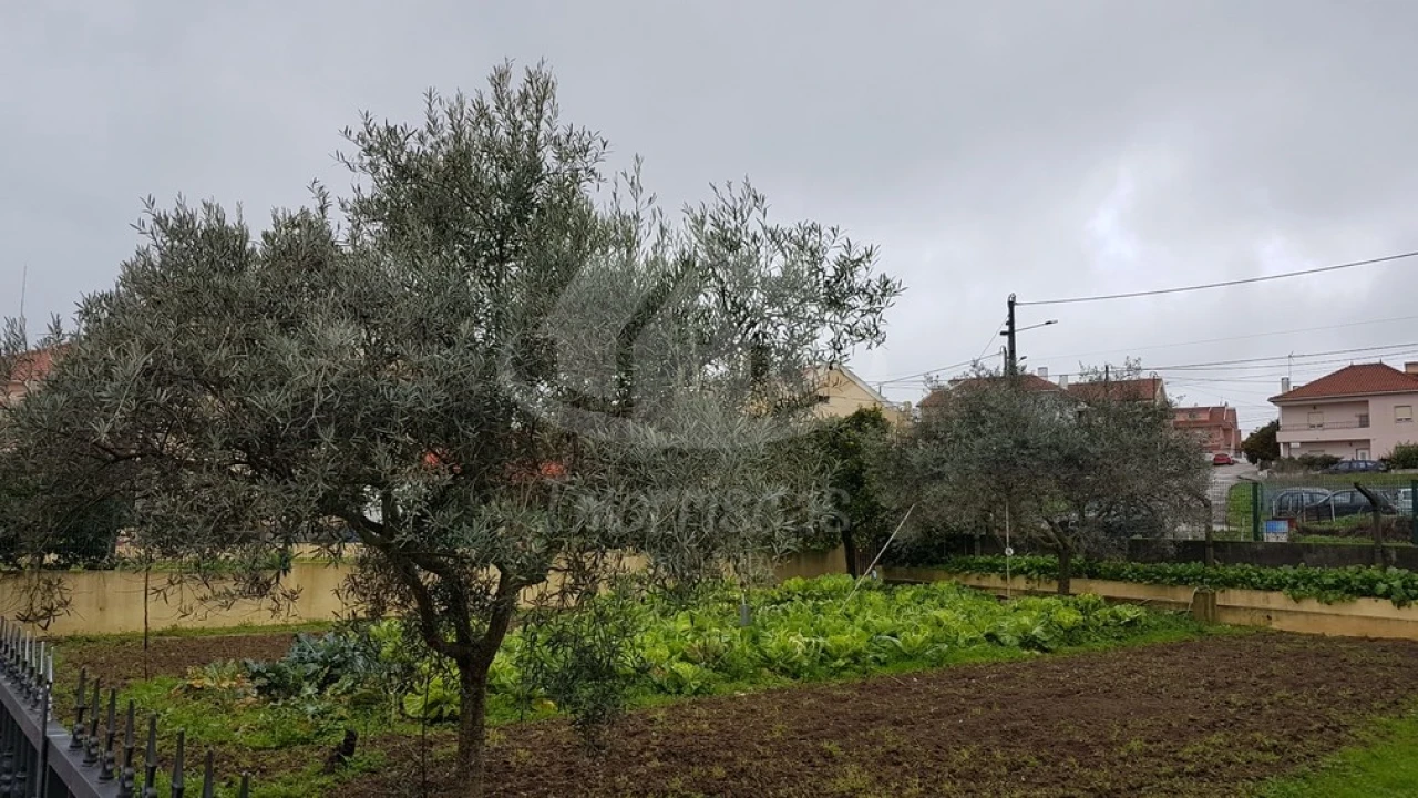 Terreno para Venda em Santa Iria de Azoia, São João da Talha e Bobadela Foto 9