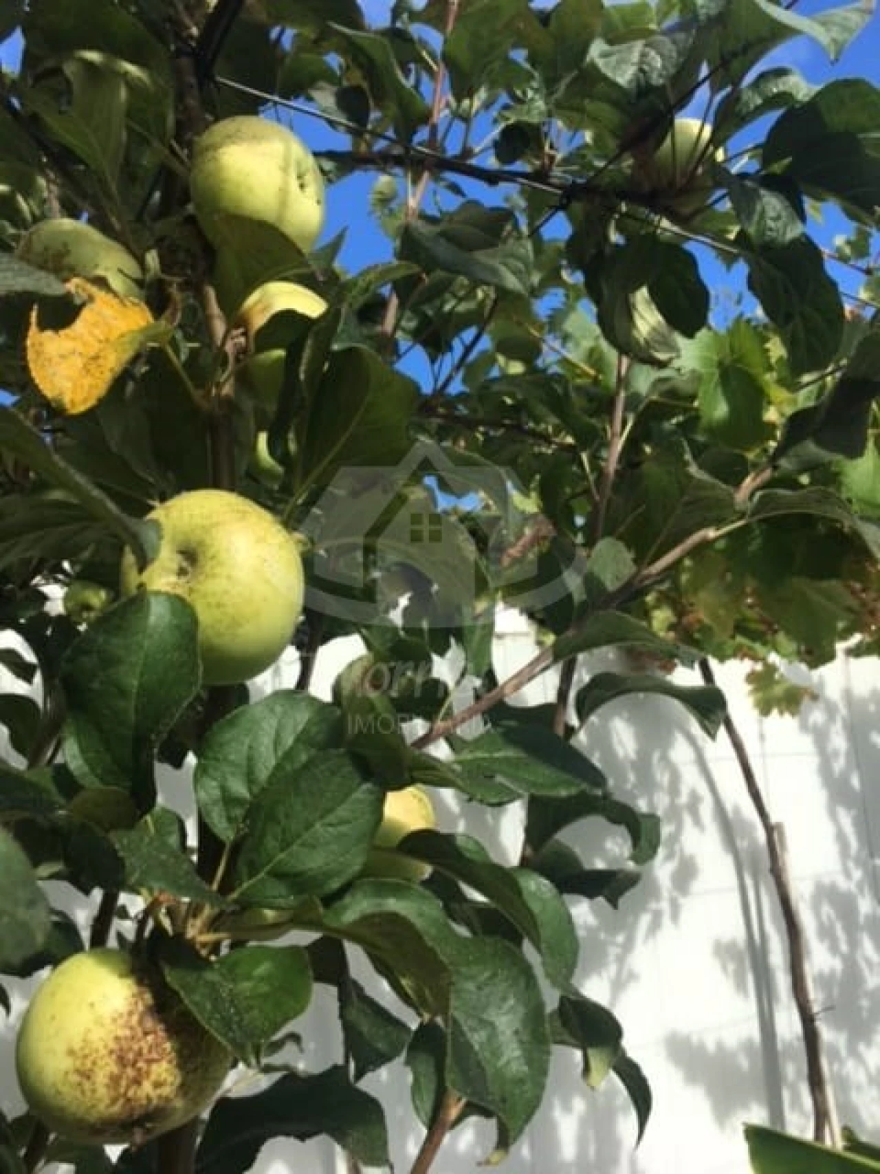 Terreno para Venda em Santo Antão e São Julião do Tojal Foto 13