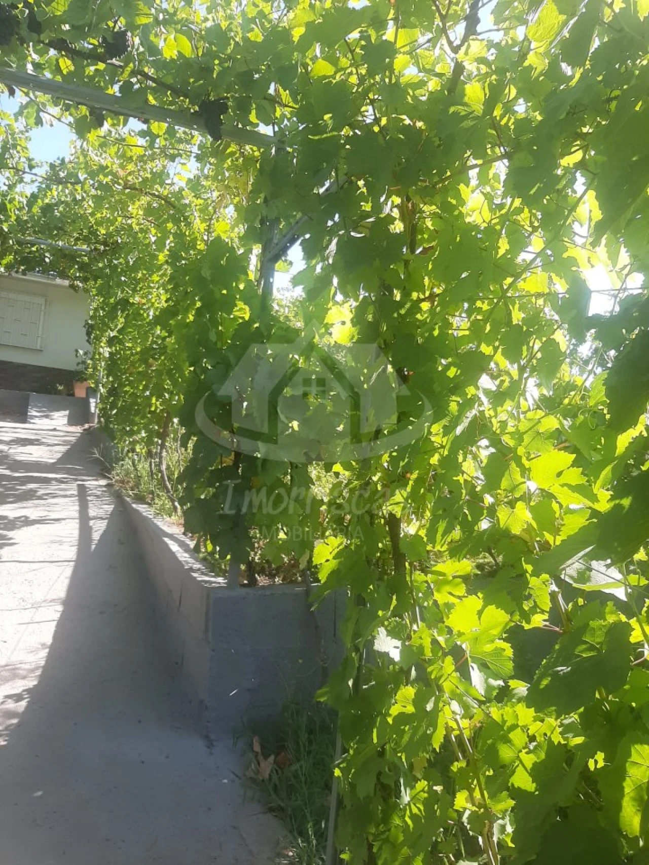 Terreno para Venda em Santo Antão e São Julião do Tojal Foto 18