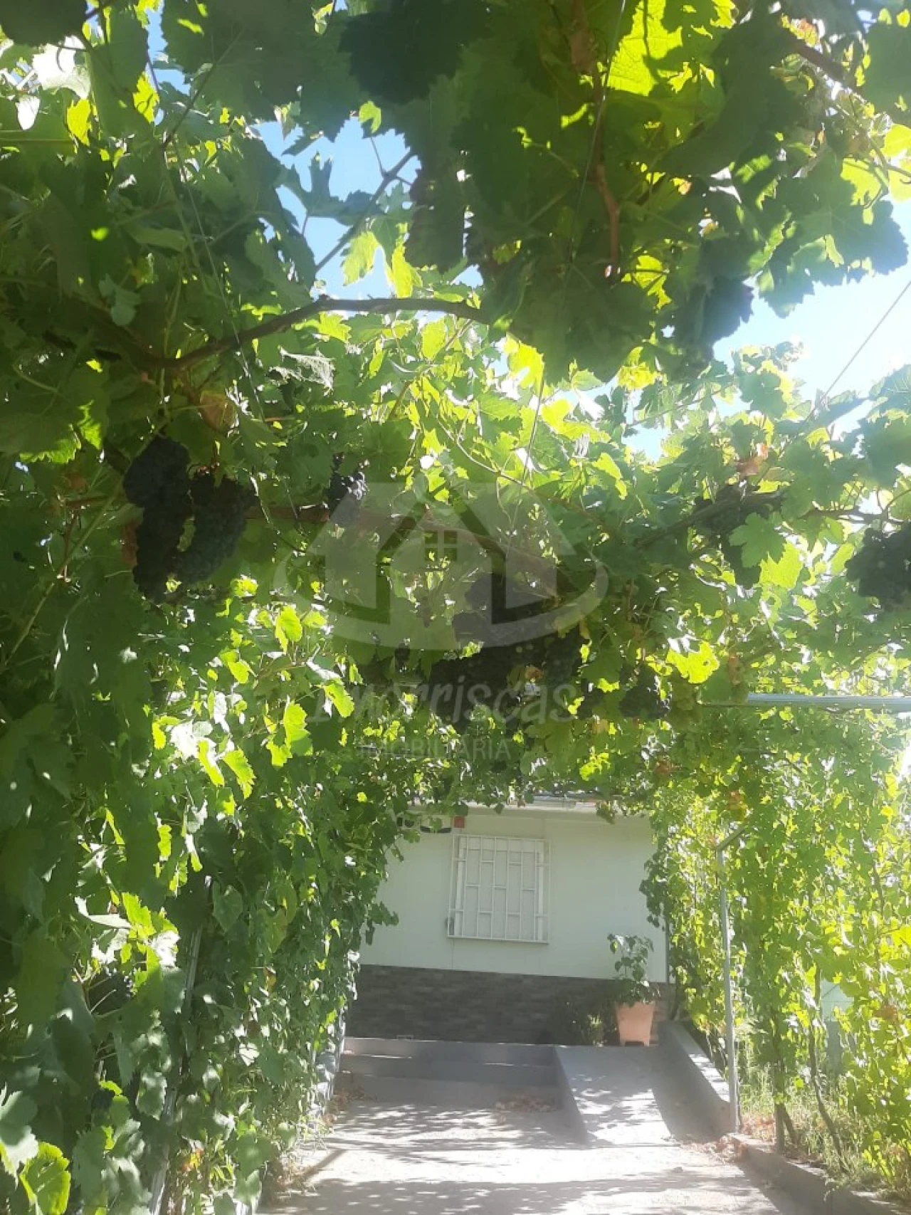 Terreno para Venda em Santo Antão e São Julião do Tojal Foto 20