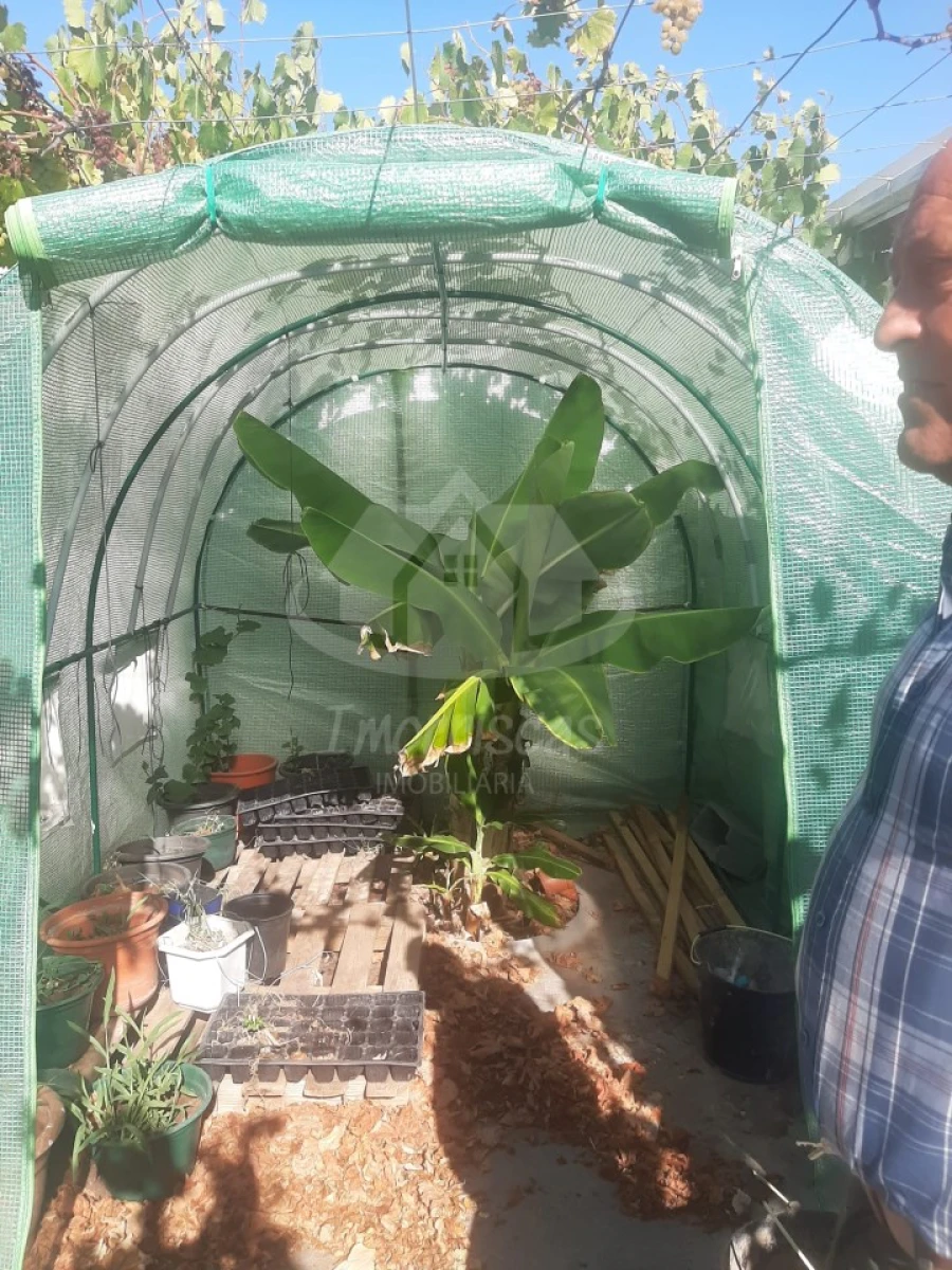 Terreno para Venda em Santo Antão e São Julião do Tojal Foto 16