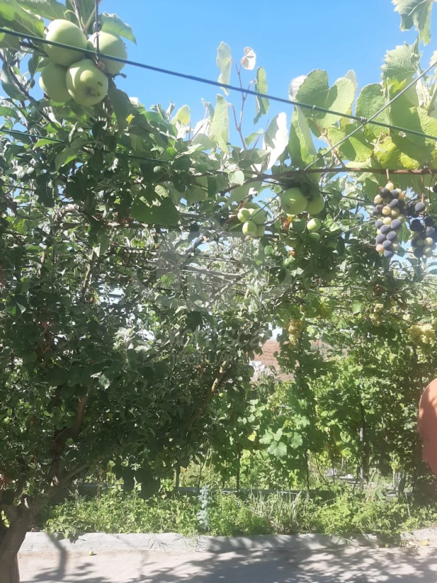 Terreno para Venda em Santo Antão e São Julião do Tojal Foto 17