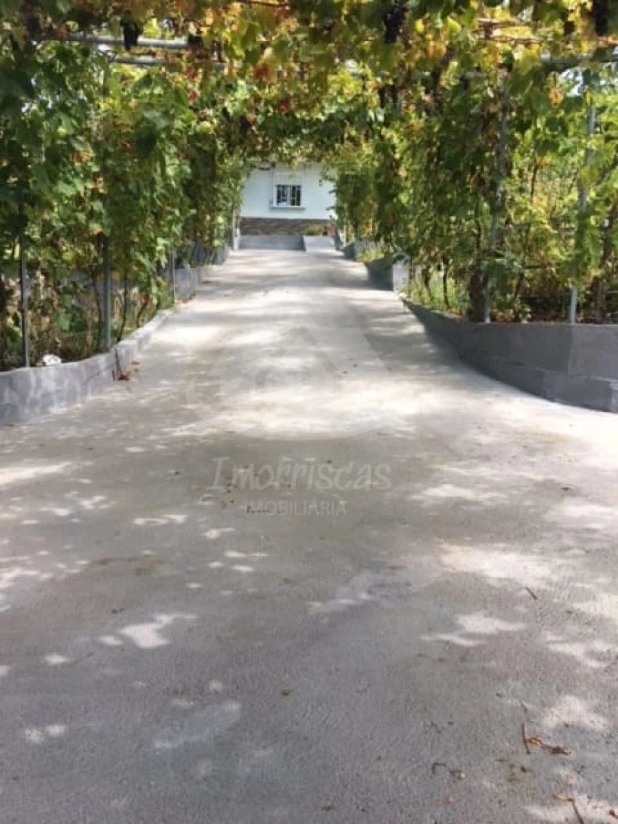 Terreno para Venda em Santo Antão e São Julião do Tojal Foto 24