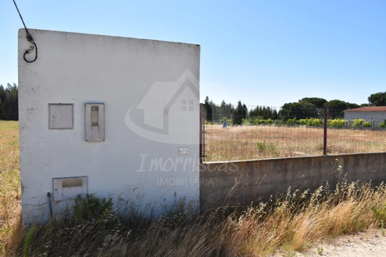 Terreno para Venda em Salvaterra de Magos e Foros de Salvaterra Foto 3