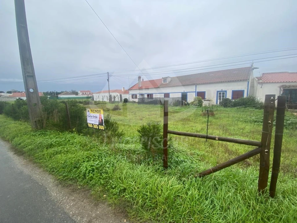 Terreno para Venda em São Teotónio Foto 1