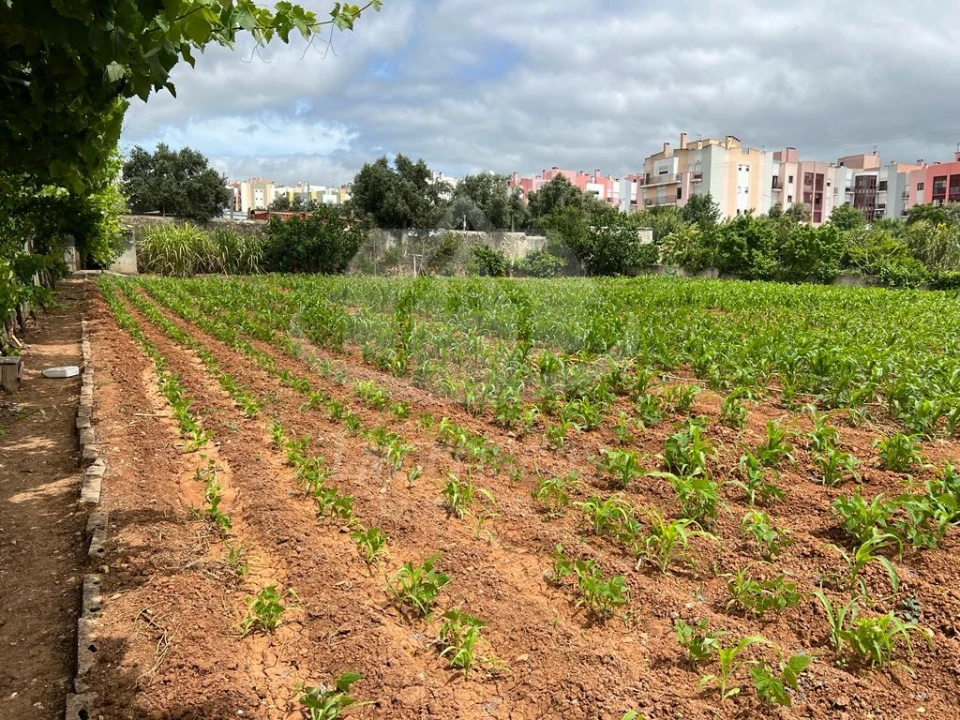 Terreno para Venda em Vialonga Foto 14