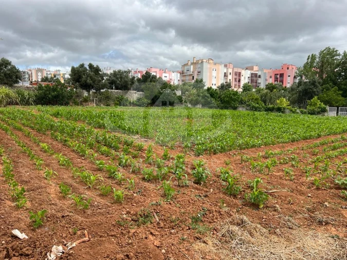 Terreno para Venda em Vialonga Foto 11