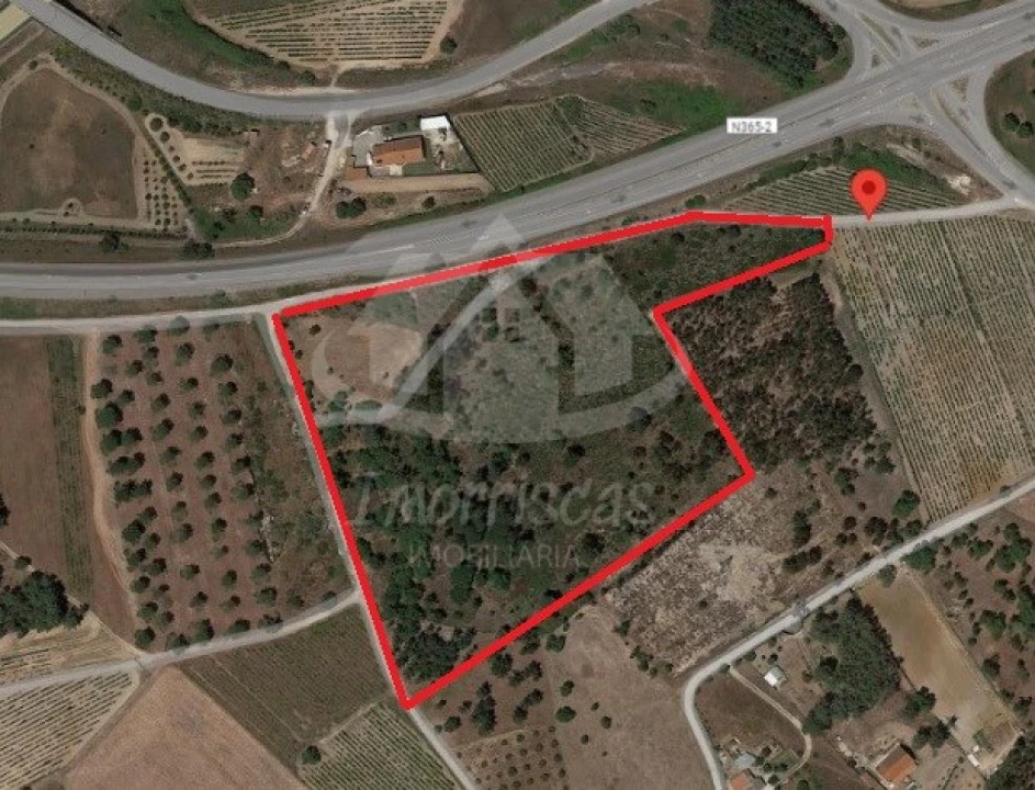 Terreno para Venda em Pontevel Foto 4