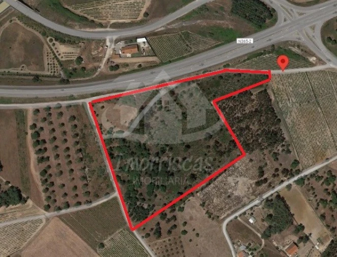 Terreno para Venda em Pontevel Foto 4