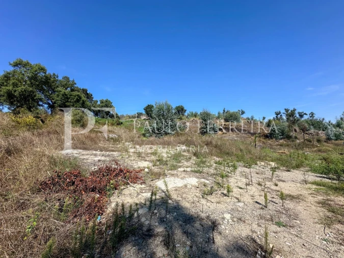 Terreno para Venda em Requião Foto 5