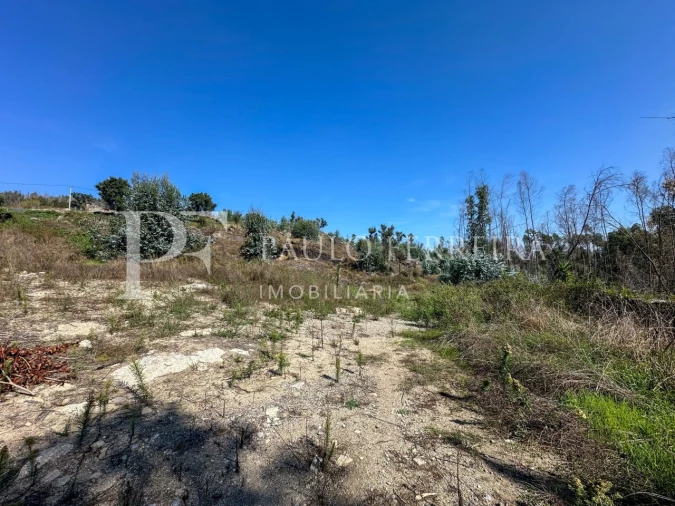 Terreno para Venda em Requião Foto 6