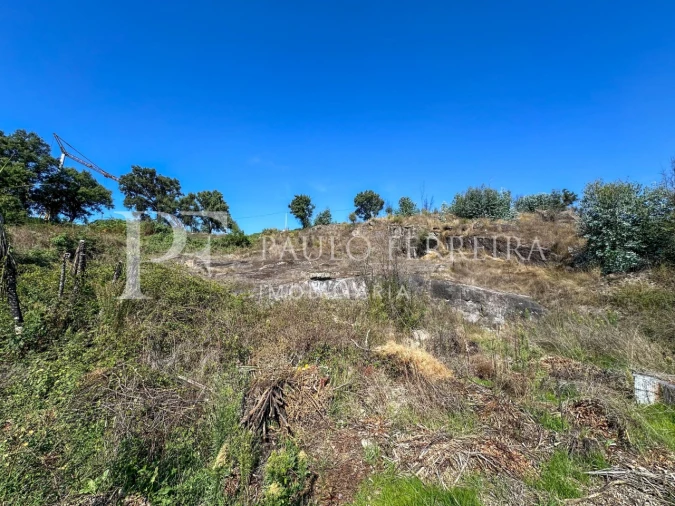 Terreno para Venda em Requião Foto 7