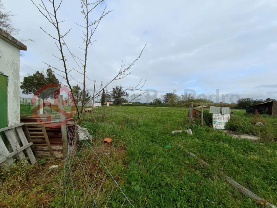 Terreno para Venda em Pinhal Novo Foto 15