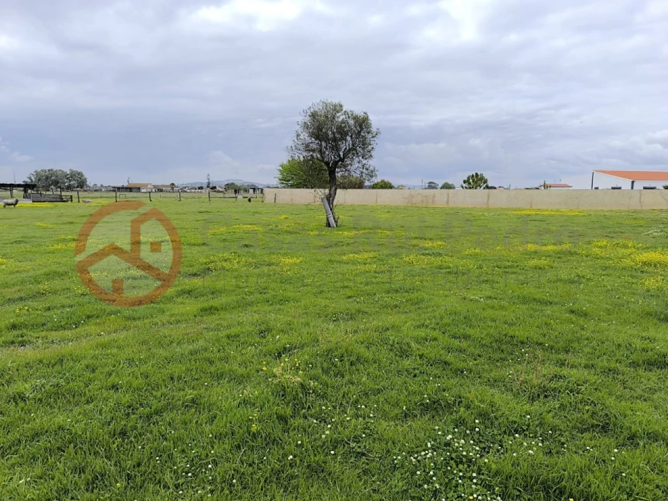 Terreno Misto para Venda em Pinhal Novo Foto 4