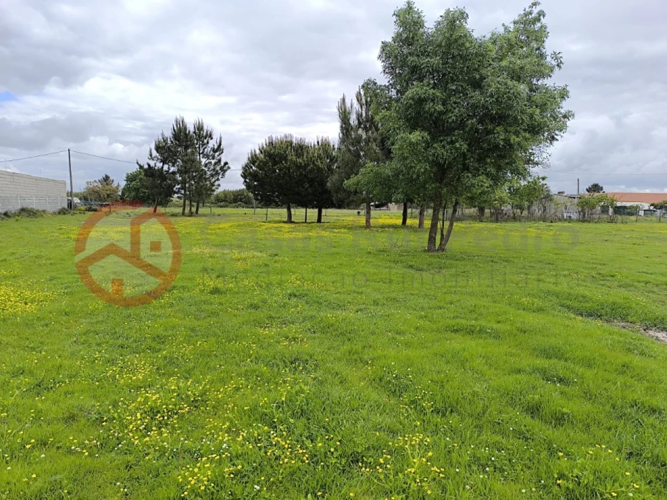 Terreno Misto para Venda em Pinhal Novo Foto 5