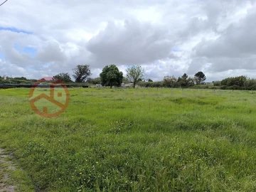 Terreno Misto para Venda em Pinhal Novo