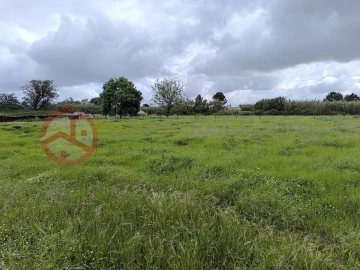 Terreno Misto para Venda em Pinhal Novo