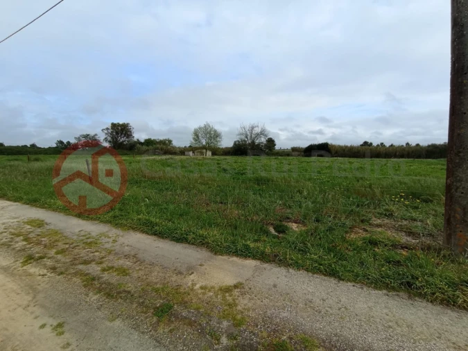 Terreno para Venda em Pinhal Novo Foto 4